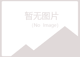 昌邑女孩会计有限公司